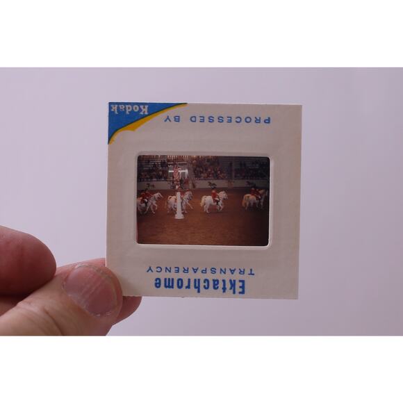 1970s, Color Slides, Ice Capades, Sand Point, Lipizzan Stallions ~ 250827-WH 559 - Picture 3 of 4